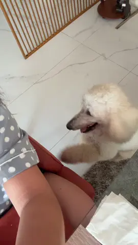 May naglalambing 🐾