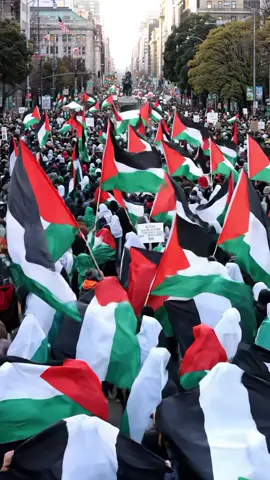free feee Palestin #freepalestine #globalsumudflottilia #support #help #palestine 