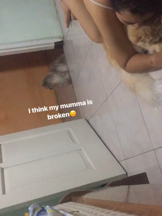 AQPcmtqjDsAKnffdCWy5A7nzoIjin9Qxuvs1YrUAQdzbwLJegSfW7Ky9pYCrorCU