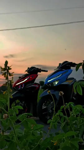 Aduhhh.. apaan Tuh.?? Main di semak aja lah biar ketutup 😁😁 #vario125 #variogen1 #vario #fyp 
