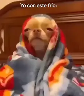 #dormir #frío 