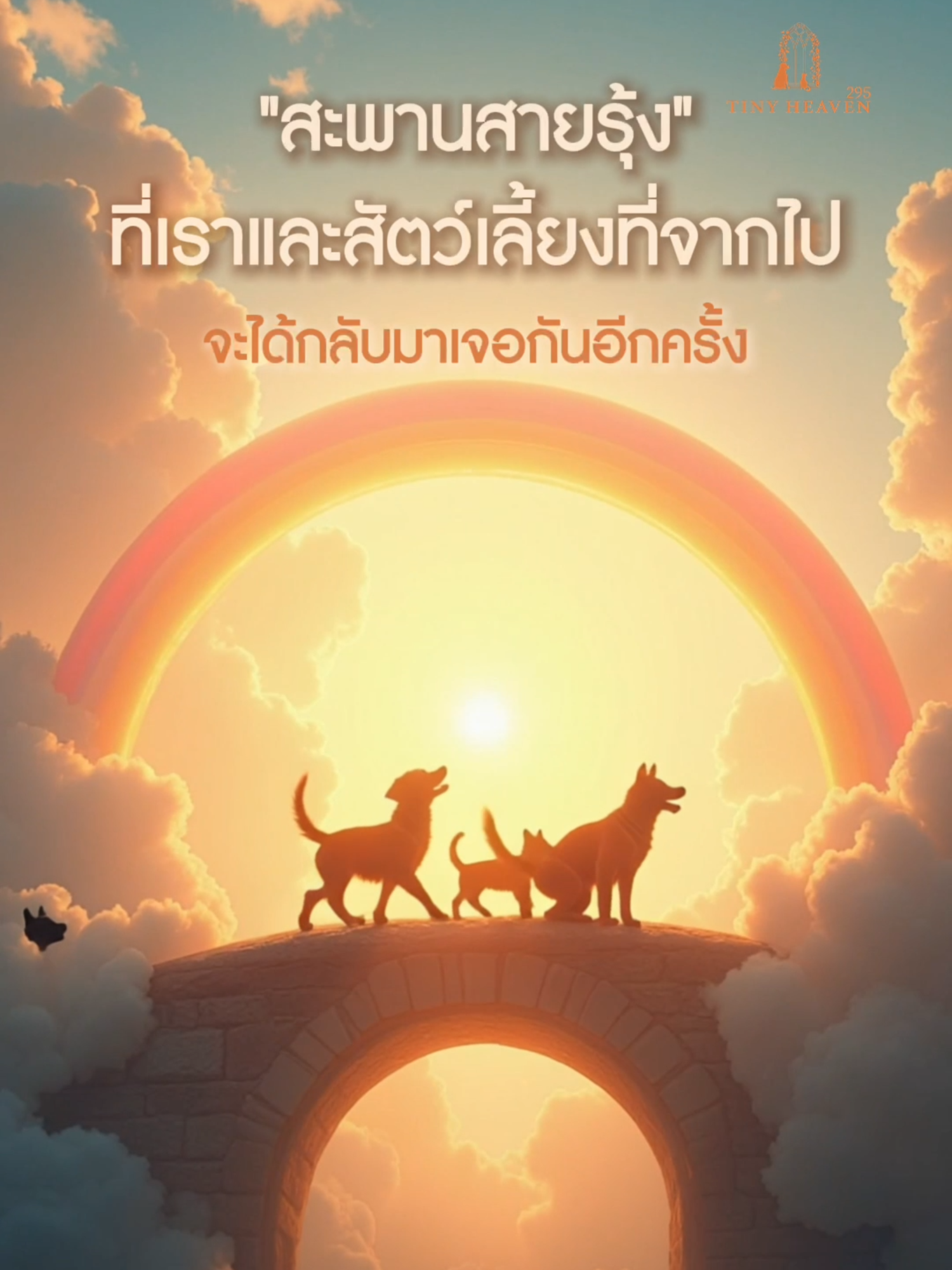 ถ้าน้องพูดได้... คงอยากบอกกับเราว่า 