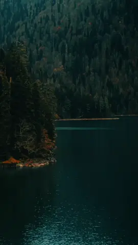 ان الله وملائكته يصلون على النبي #الشيخ_محمود_الشحات_انور  #سورة_الاحزاب  #quran_alkarim #quran 