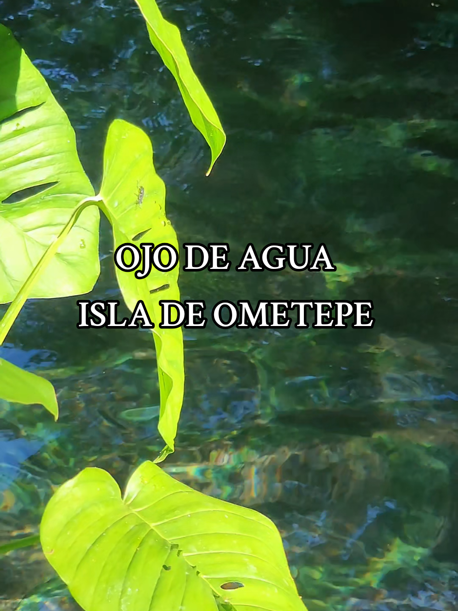 CONOCES? #isladeometepe #nicaragua #ojodeagua 