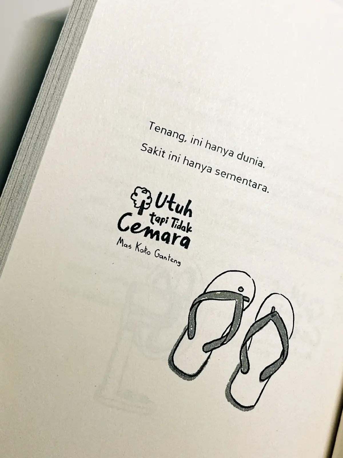 #fyp #SelfImprovement #books #BookTok #utuhtapitidakcemara 