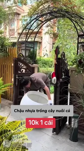#chậu nhựa trồng cây, trồng hoa