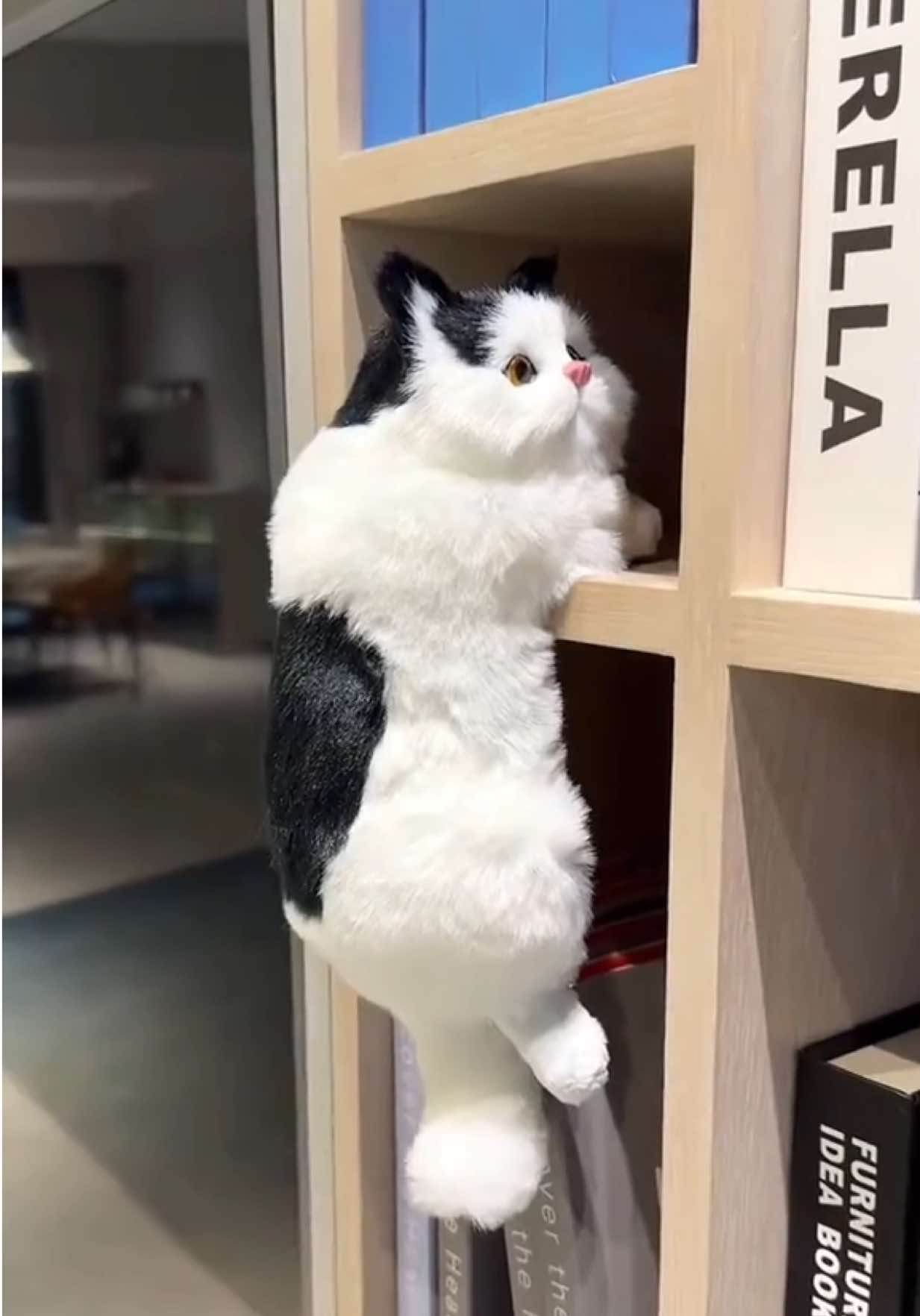 น่ารักมาก✨ตุ๊กตาแมว😽ตกแต่ง เพิ่มสีสันบ้านได้ดี🏡ขนไม่ร่วง‼️ #ตุ๊กตา #ตุ๊กตาแมว #แมว #แมวปลอม #แมวน่ารัก 