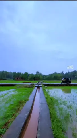 റസിയ 🌹
