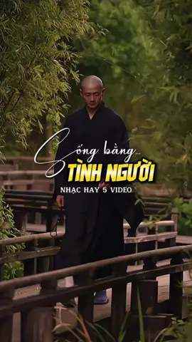 #phatphapnhiemmau #minhtrietanlac #capcut #capcutpioneer #pioneertemplate 