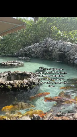 #bffas💘@️ @Anahí🤍 @𝔍𝔄𝔑𝔈𝔗 𝔐𝔈𝔇ℑ𝔑𝔄 🏧 #nomedejenenflop💔 #bffas💘