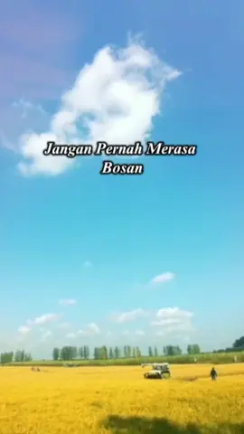 CINTAILAH PEKERJAANMU #katakatamotivasi #nasehathidup #quotes #asepmaura #CapCut 