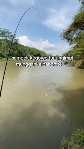 lupot #fyp #xybca #beranda#mancing  #mancingmania 