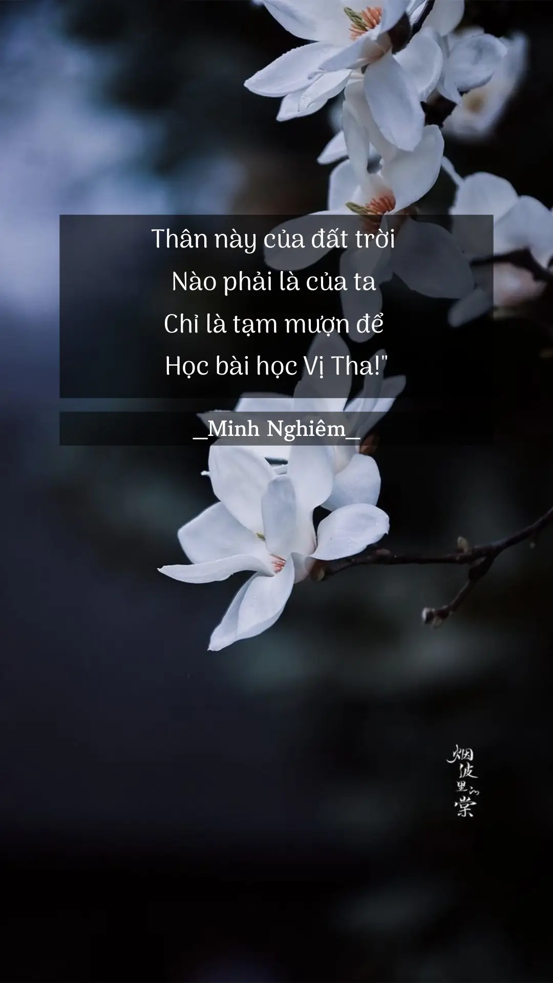 #phatphapvadoisong  #caunoihay #minhnghiem_47m1  #tiktok #xuhuong 