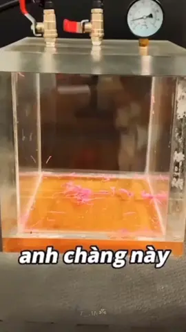 Anh chàng này thắc mắc..  #quanghungmasterd #vairal 