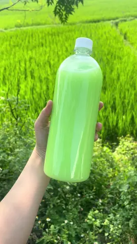 Tửu cốm sữa thơm ngon,ngọt dịu dễ uống có vị thơm,mauf xanh của cốm…😘😘#ruoucomtaybac #comsua #xuhuong #xuhuongtiktok #bacgiang 