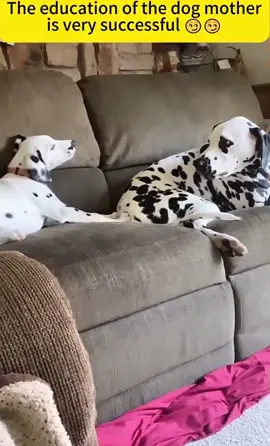 Mom language is universal 😂❤️ #foryoupage #fypシ゚viral #viral #fypシ #fyp 