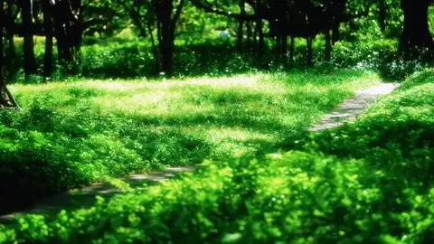 不争不扰,像海一样辽阔,像风一样自由。 Không tranh, không phiền, rộng lớn như biển, tự tại như gió. #caption #yenbinh #thiennhien #chualanh 