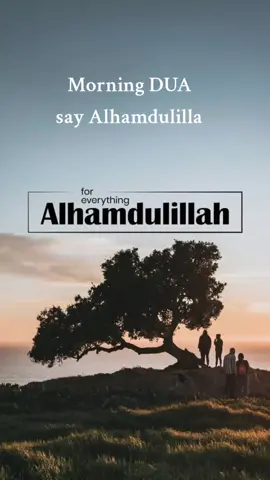 ### #fypage #foryoupage❤️❤️ #creatersearchinsights  Alhamdulilla for new day