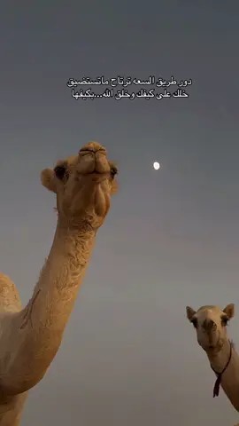 #creatorsearchinsights #خاطري#تيك 
