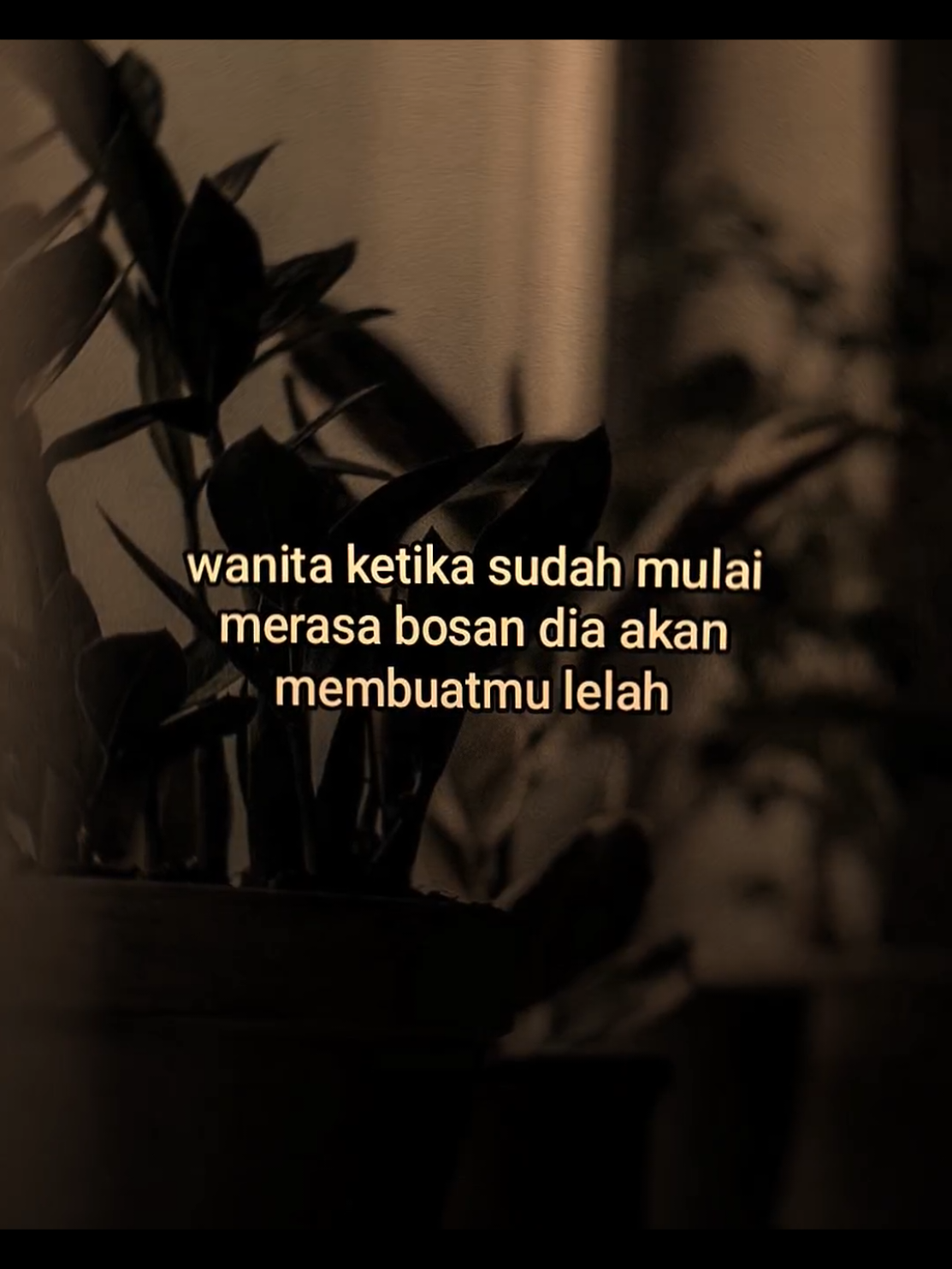 #quotes 