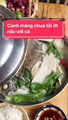 Combo 2 măng chua tỏi ớt ăn liền , một hủ nấu canh cá , một hủ để dành ăn mì gói, bún, hủ tiếu, đói khi nào thì lấy ra ăn khi đó #reviewanngon #monngonmoingay #mangchua #mangchuatoiot #xuhuonganngon 