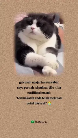 bayangin sesabar apa aku coba 😭 #quotesislami #atifahkhumairoh 