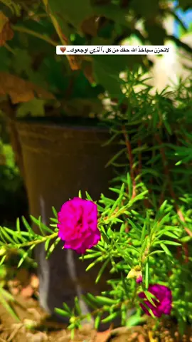 #جزء101 #انستااz_eb0 #تصوري_احترافي_الاجواء👌🏻🕊😴 #لايك_متابعه_اكسبلور_لو_عجبكم🙂 #عباراتكم_الفخمه📿📌 #تصويري📸 