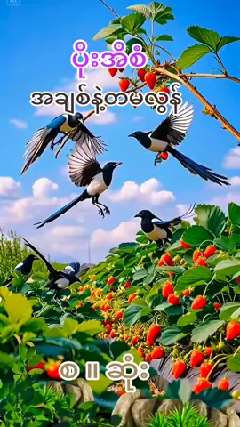 #အချစ်နဲ့တမလွန်❤️❤ # #💚💖💟လေးတွေပေးကြပါအုံး 