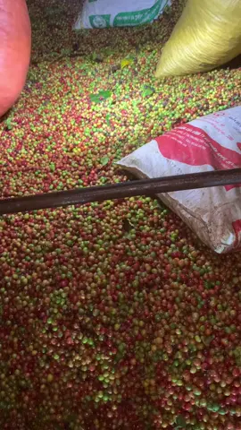 Cần đầu ra cho cafe xe nhà chuyên lọc cà đẹp, các nhà xưởng yên tâm về chất lượng 🥰 #cafesonla #caphearabica #clbaeyêuxekếtnốimọimiền 