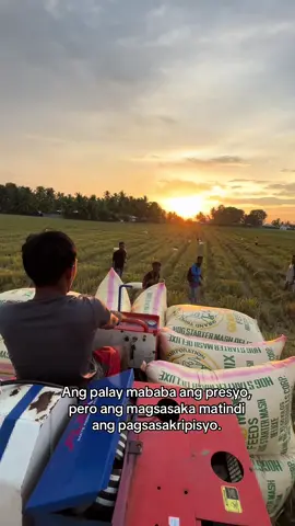 Kulang nalang dugo na yung kanilang pawis :< #everyone #farmers #viral #highlight 