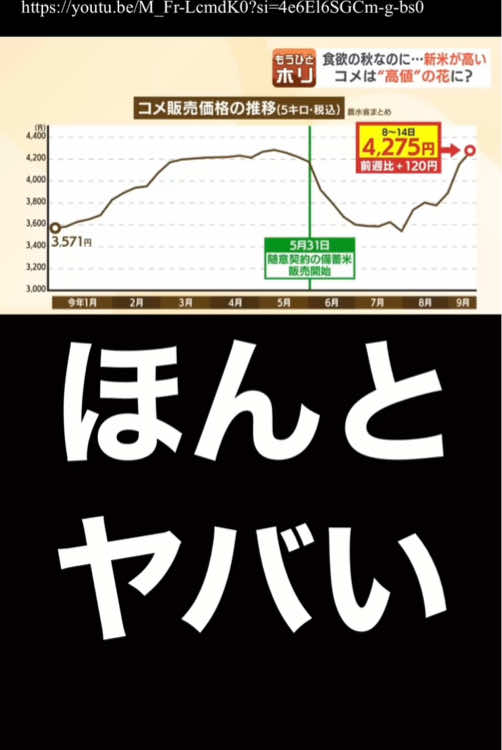 コメ価格高騰がマジでヤバい… もう自民党総裁選どころじゃないよ…新米、銘柄米なんて買えないし、備蓄米も売り切れだし、あとは外国産の輸入米しかないけど、大して安くないんだよな…何が物価高対策だよ、賃上げよりも、米の値段の方が、ガンガン上がってるじゃねーか、農林水産省、小泉進次郎、どーにかしてくれ！#米価高騰 #コメ価格 #備蓄米 #米価格 #小泉進次郎         