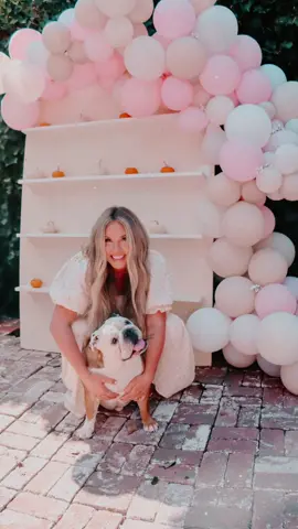 Bru is ready to meet his baby sister Navy 🤍 the most perfect fall baby shower. 🍂  #baby #babyshower #babyshowerideas #fallbabyclothes #bulldog 