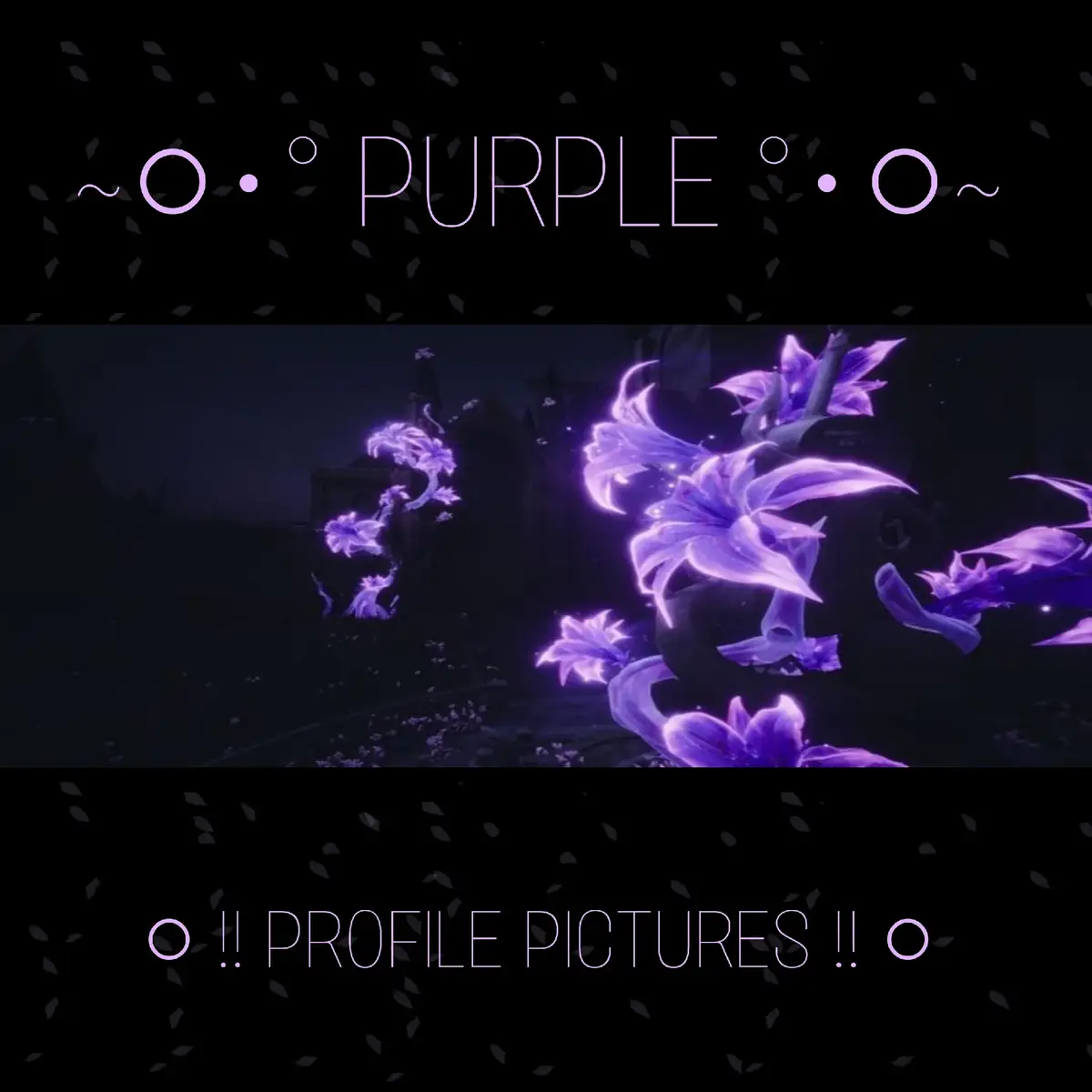 Purple profile pictures !! | sorry for not posting. I haven't really had the energy to do anything lately. have a wonderful day/night !! #tiktok #aesthetic #pinterest #pfps4u #fyp 