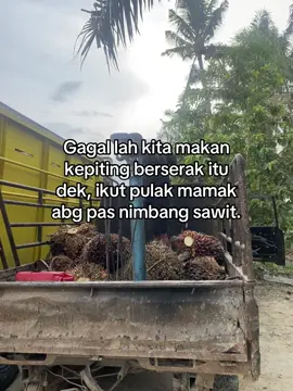 hadehh #cumankulisawit🌴 #bismilahbosmuda😎 #promomakangajian #fyppppppppppppppppppppppp 