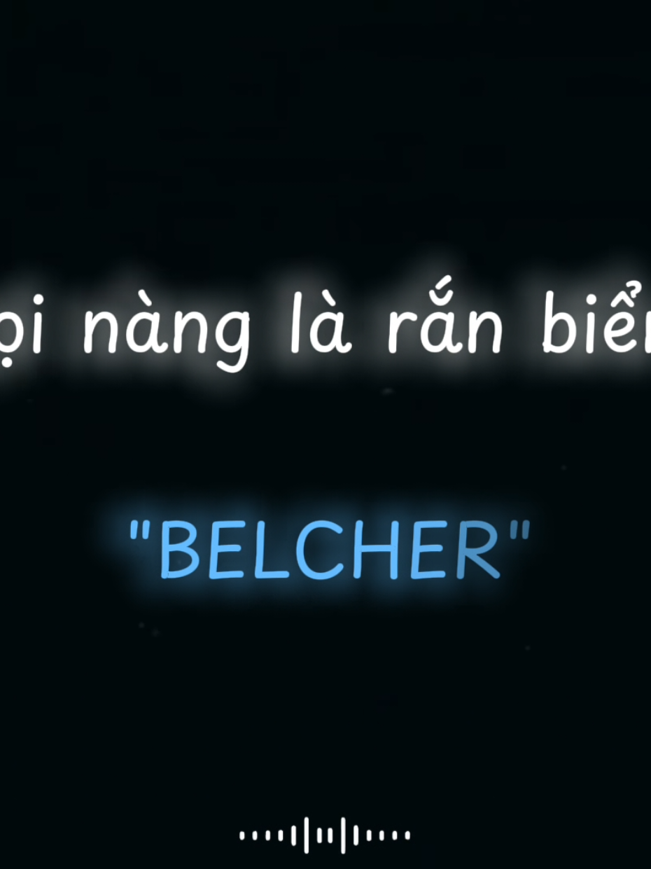 Gọi Nàng Là Rắn Biển 