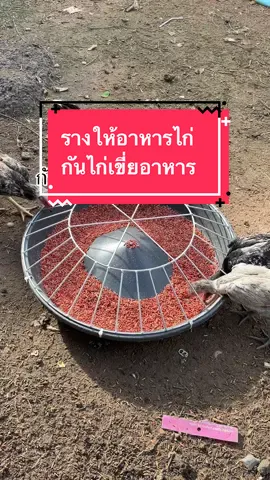 ถาดให้อาหารไก่ รางให้อาหารไก่ #รางอาหารไก่ #สัตว์เลี้ยง #ไก่ชน #ไก่ตี #สินค้าขายดีในติ้กต้อก 