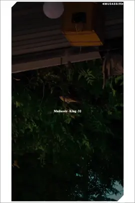 hayee Song 🙌🏻💫... #foryou #mudassir_king32 #SaraikiJanuzZ 