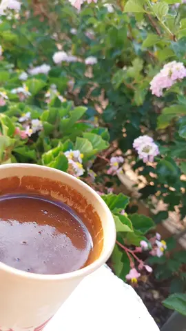 🤍🕊 . #اكسبلورexplore #اربد #CapCut 