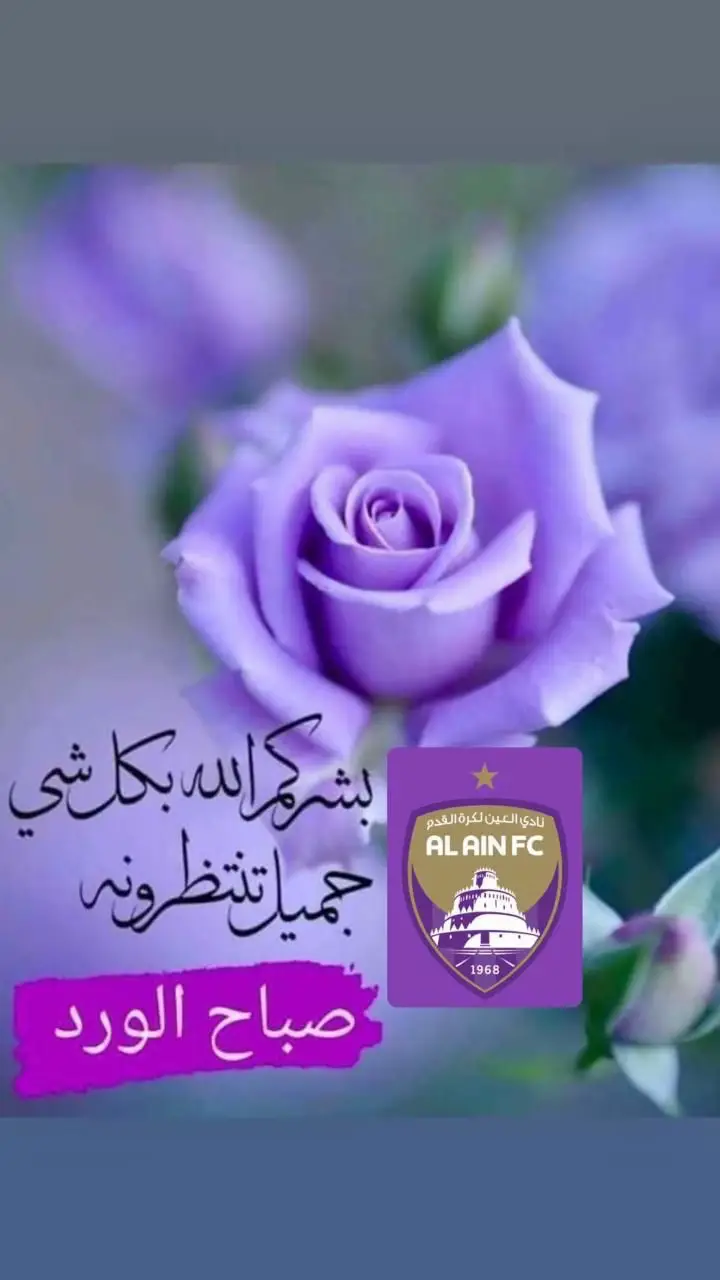 #اصبحنا_واصبح_الملك_لله #صباح_الخير #صباحكم_معطر_بذكر_الله💚🌹🌿🌷😍🌸🙏 #سبحان_الله_وبحمده_سبحان_الله_العظيم #