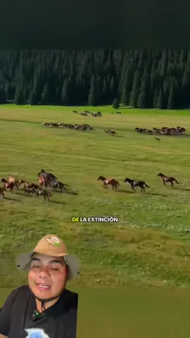 Este animal regresó de la extinción #AprendeEnTikTok #caballo 