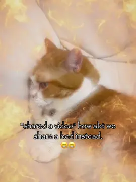 how abt it 😙😙 #meme #rizz #relatable #couple #cattok 