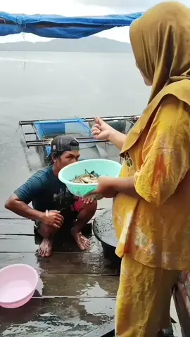 Masak Sambal Udang Danau Dan Gulai Manis Jelok Roba