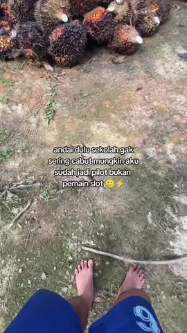 #xyzbcafyp #sawitkalimantan🌴🌴🇮🇩 #petanisawitindonesia🇮🇩 #masukberandafyp #tokemuda05 