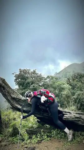 Mỗi huy chương là hành trình chinh phục giới hạn của bản thân😘 #tàchìnhù2979m  #trekking  #yênbái 