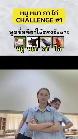 #ดูเอ็ทกับ @PupaePenPed 🐣#หมูหมากาไก่ @ด้าไม่ชอบกินผักชี @Nammy Thanyalak 