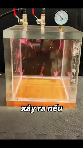 thí nghiệm thú vị về áp suất không gian với một quả bóng bay #fyp #khoahoc #thinghiemkhoahoc #tianziyu 