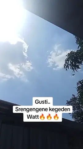 Gusti ..srengengene kegeden Watt🔥🔥 #fyp