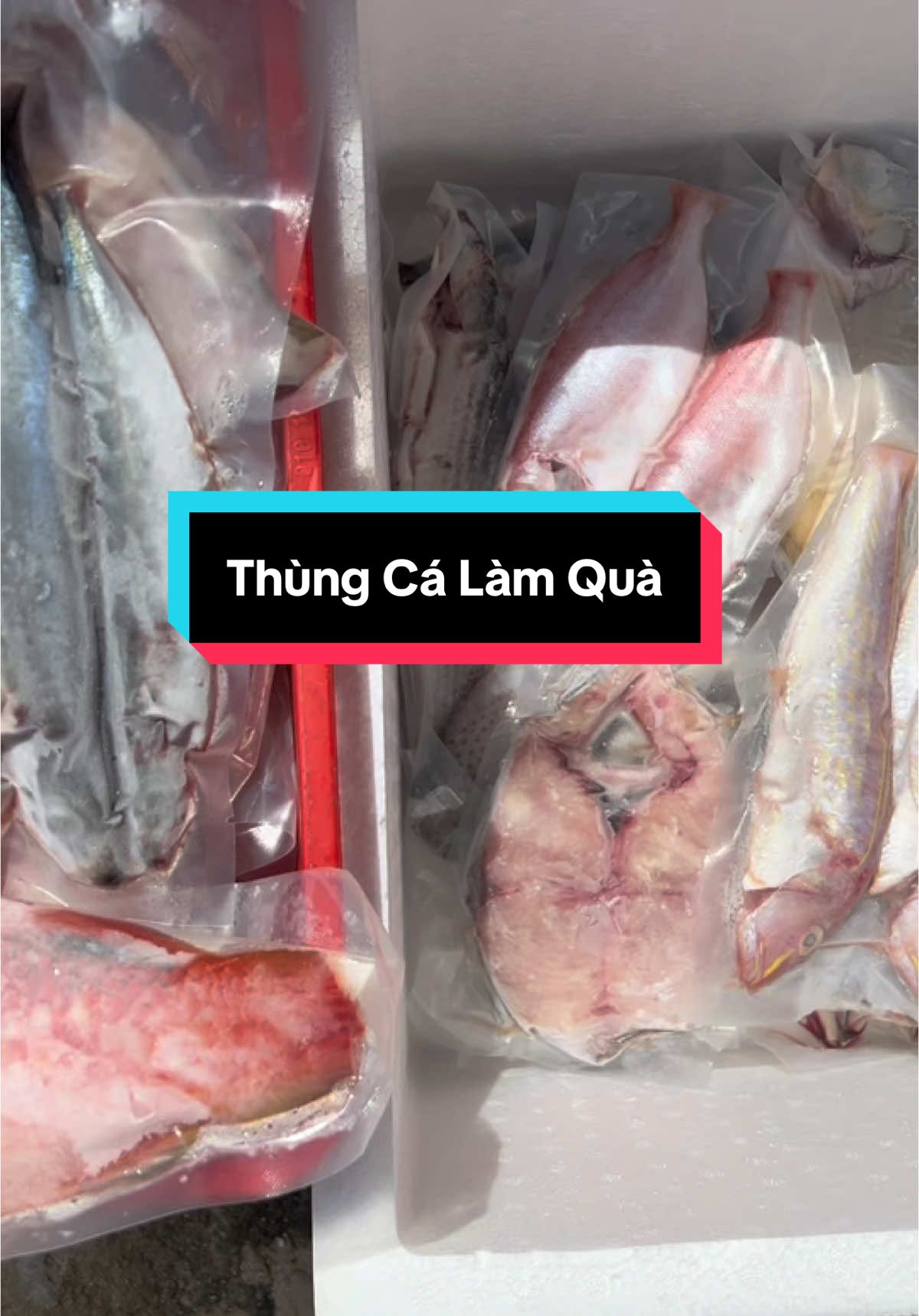Mn thấy như này xứng đáng khi gửi người thân k #haisan #hảisản #catuoimoingay #cá #mực #cábiển #catuoi #cabien #xuhuong #76quangngai #fyb #thinhhanh 