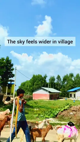 Back to village 🥰 #villagelife #peace 