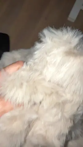 This blanket is soooo FLUFFY! 🥰 #blanket#throw#fluffyblanket #comfyblanket #sweaterweather  